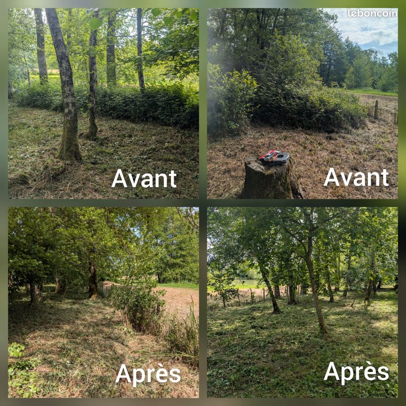 Entretien espaces verts avant/après
